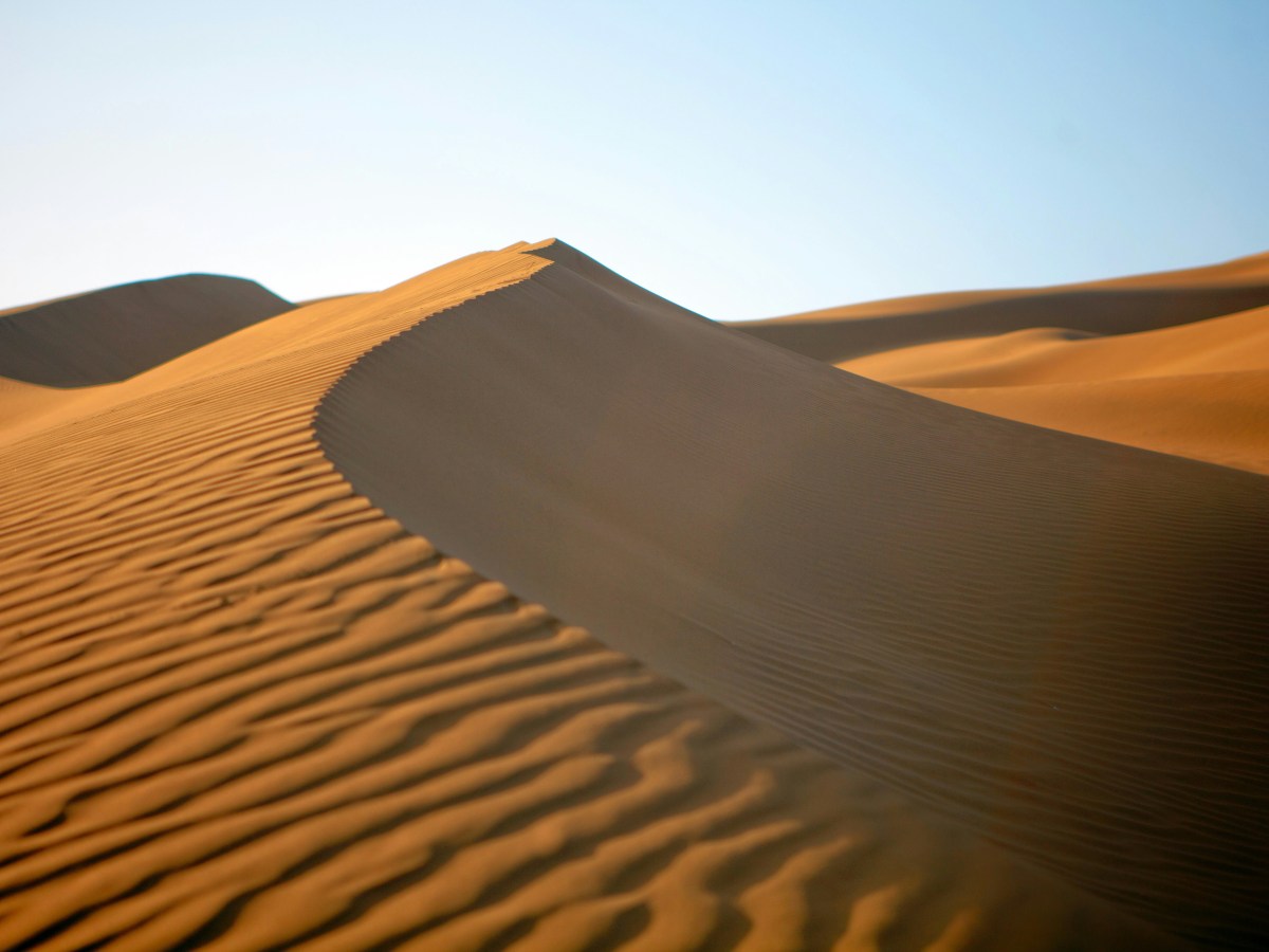 Paul Rooney and Life in the Sand Dunes